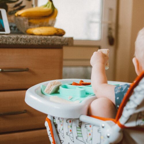 back view shot of a baby holding a food while sitting on a high chair